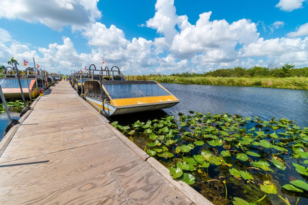 Explore vast wetlands in Everglades National Park