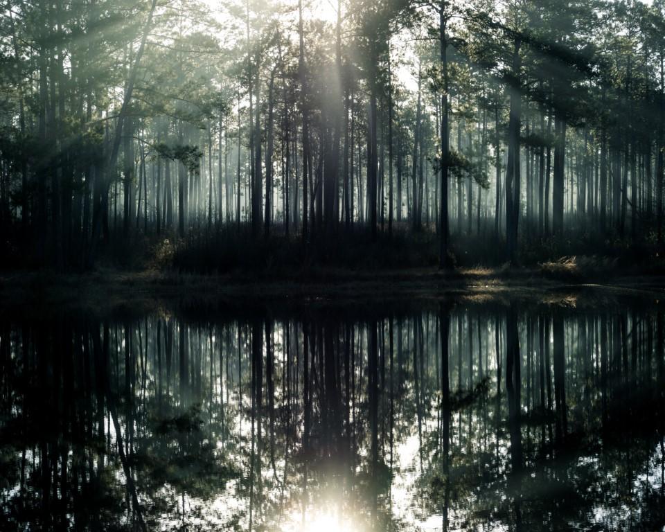 De Soto National Forest - Around 1 hour and 45 minutes by car