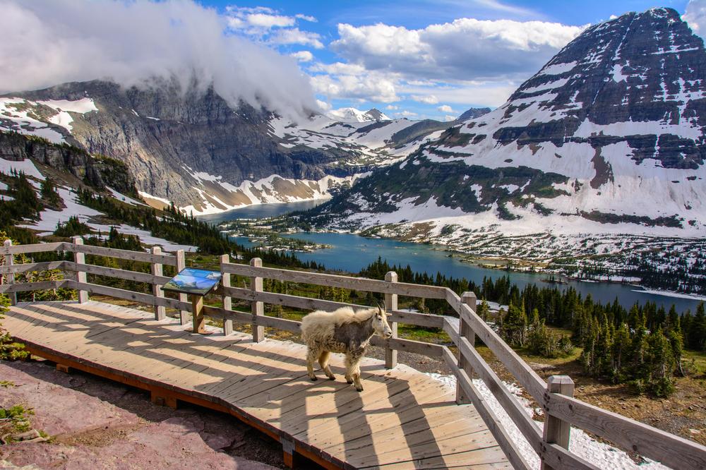 Journey Through Alpine Lakes and Rugged Peaks at Glacier National Park