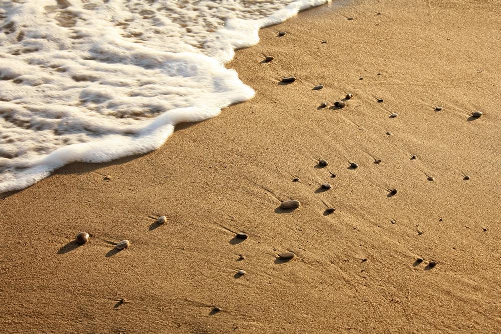 Capistrano Beach Park - 1 hour north of San Diego by car