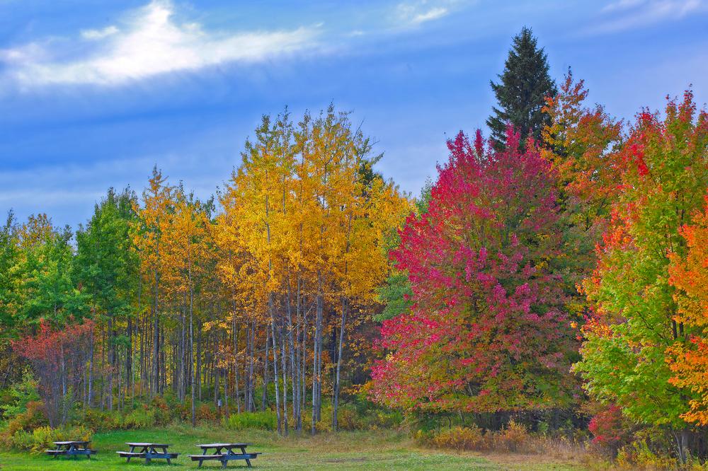Hike scenic trails and enjoy colorful sights on a crisp autumn trip.