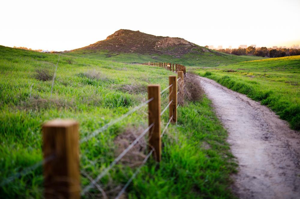 Kick Off Your Adventure at Quail Hill Trailhead