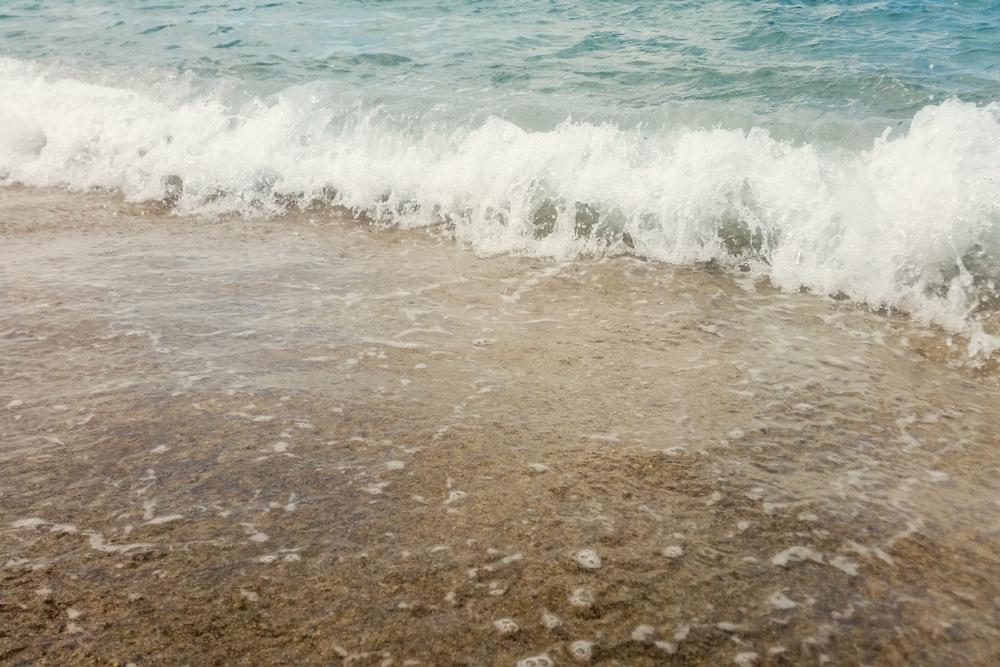 Swim in Lake Erie and explore scenic hiking trails.