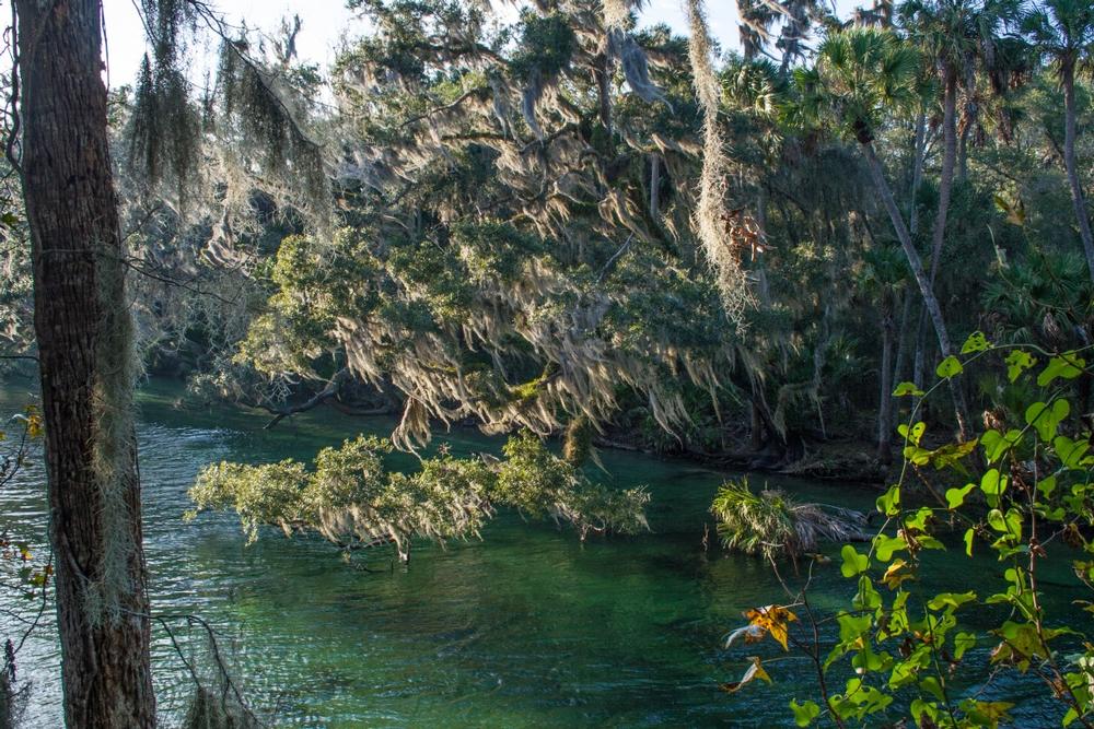 Admire manatees in winter or kayak through crystal-clear waters.