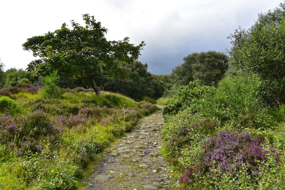 Summit for Sweeping Views at Sitton Peak Trail