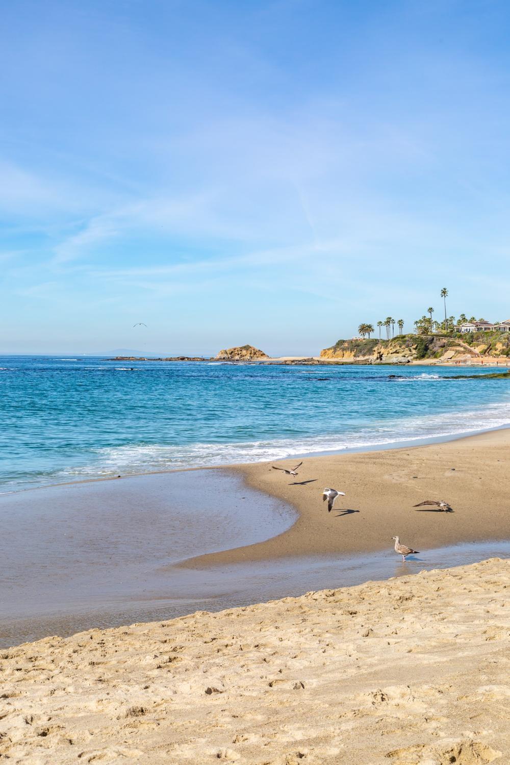 Aliso Beach - 1.5 hours from Los Angeles