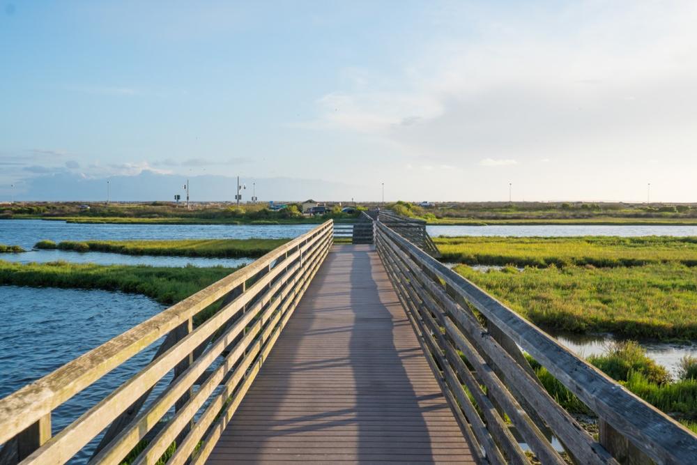 See native birds and walk peaceful trails on a scenic fall nature trip.