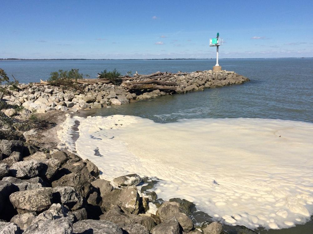 Explore nature trails and enjoy a family-friendly beach day.