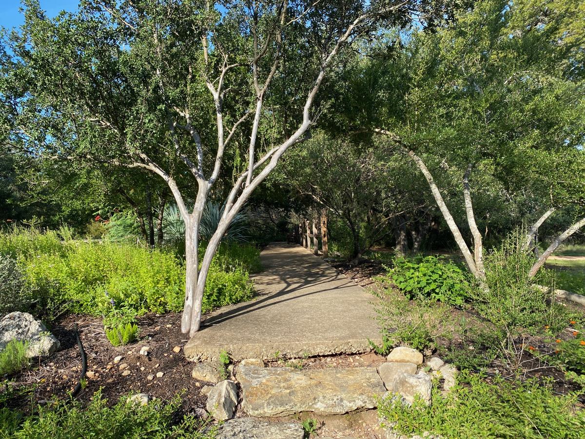 My photo on a scenic trail in the park