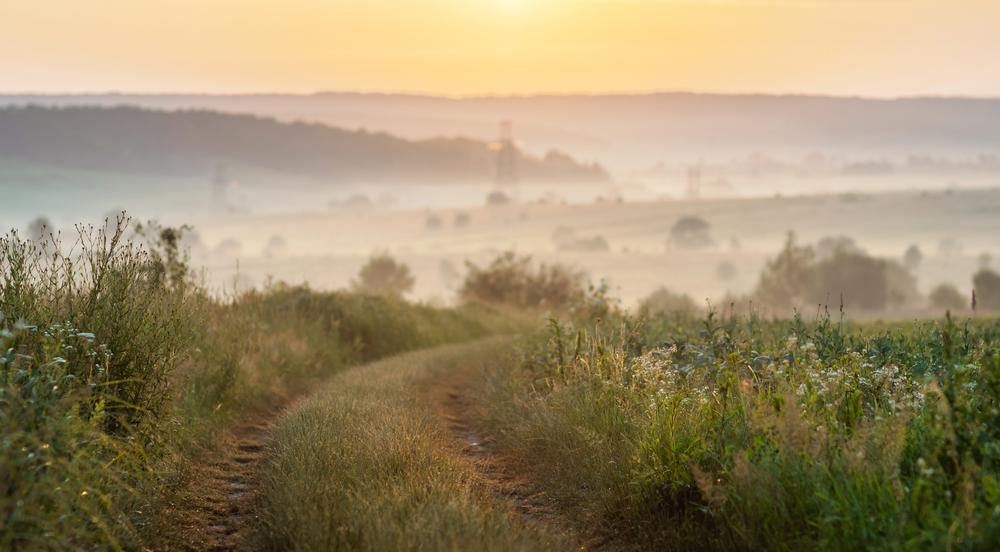 Enjoy Scenic Vistas Along the Colinas Bluff Trail