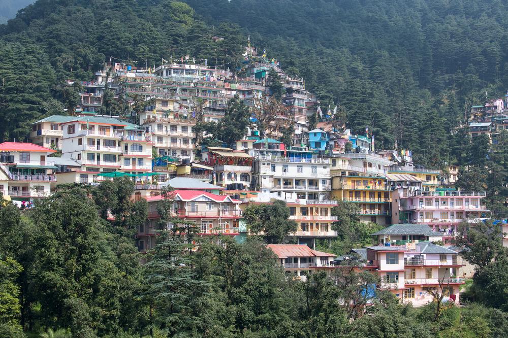 Find Spiritual Stillness in Dharamshala