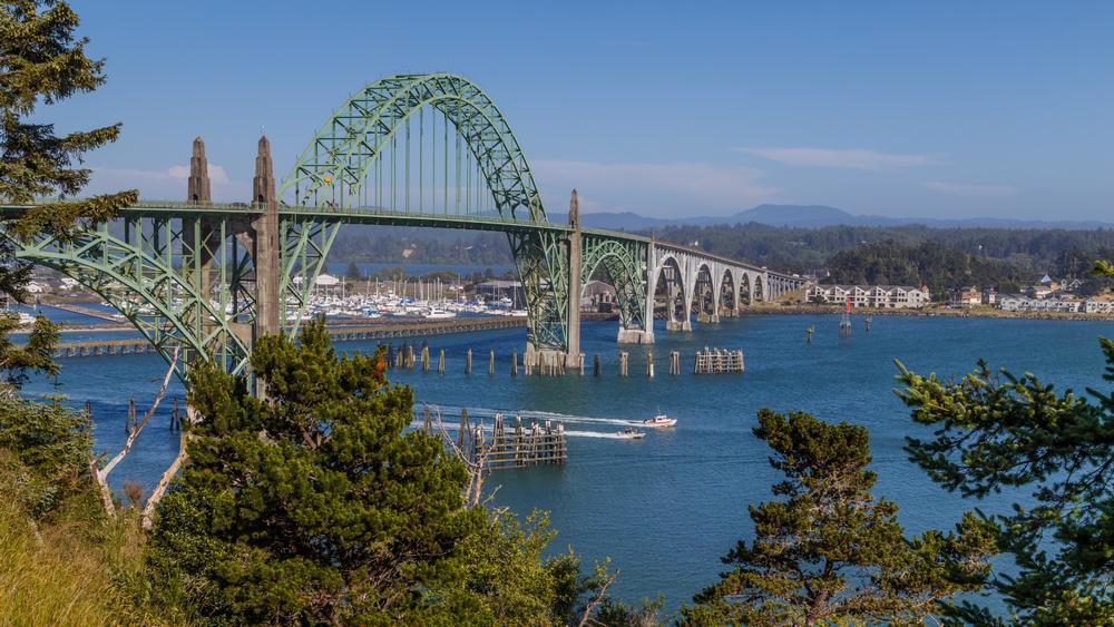 Learn About Marine Life in Newport
