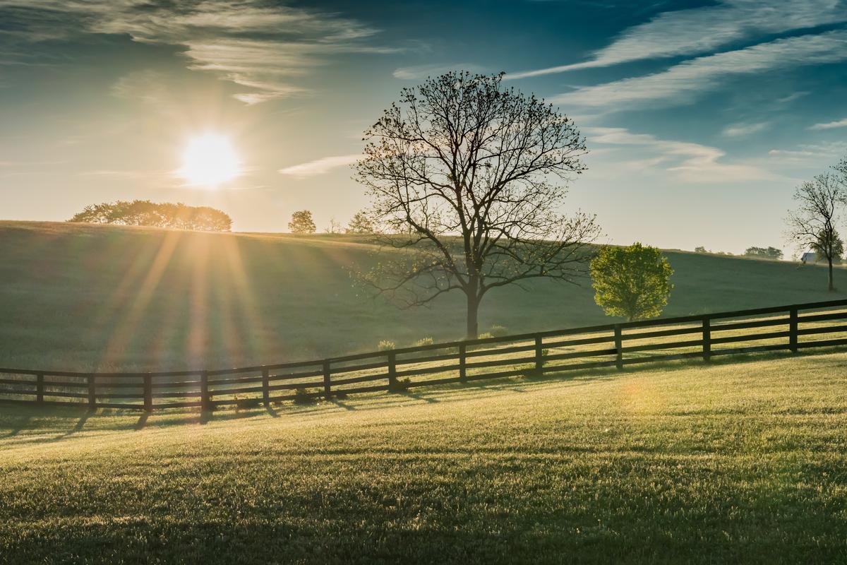 Rolling Kentucky Field