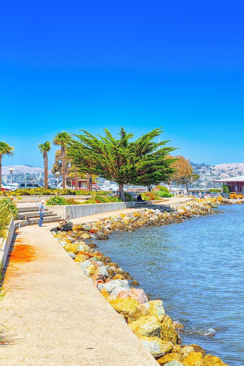 Walking along the ocean in Sausalito, Marin County