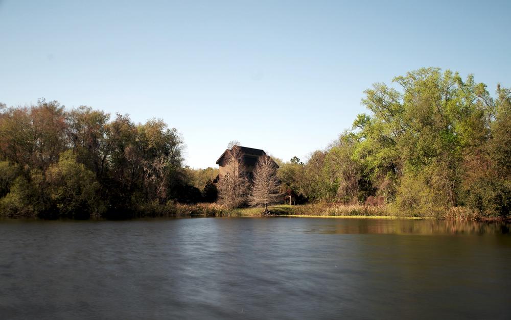 See the natural attractions in Gainesville