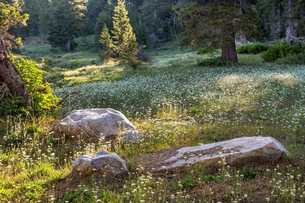 Visit Gold Rush towns and discover charming attractions on an affordable trip.