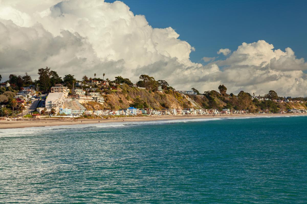 Redwoods, Sea Breeze and a Cone in Hand in Aptos