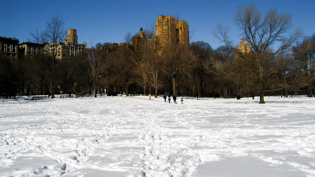 I took this photo the morning after snowfall in NYC