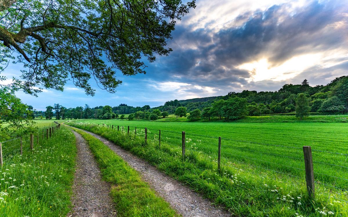 I took this photo on a summer stroll through Scotland