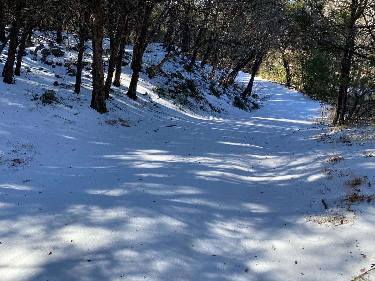 My photo of a snowy path in Killington in March
