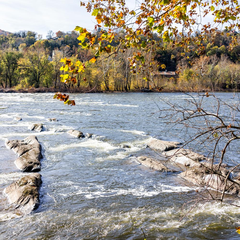 Colorful orange and yellow fall foliage in a small village town in West Virginia, WV