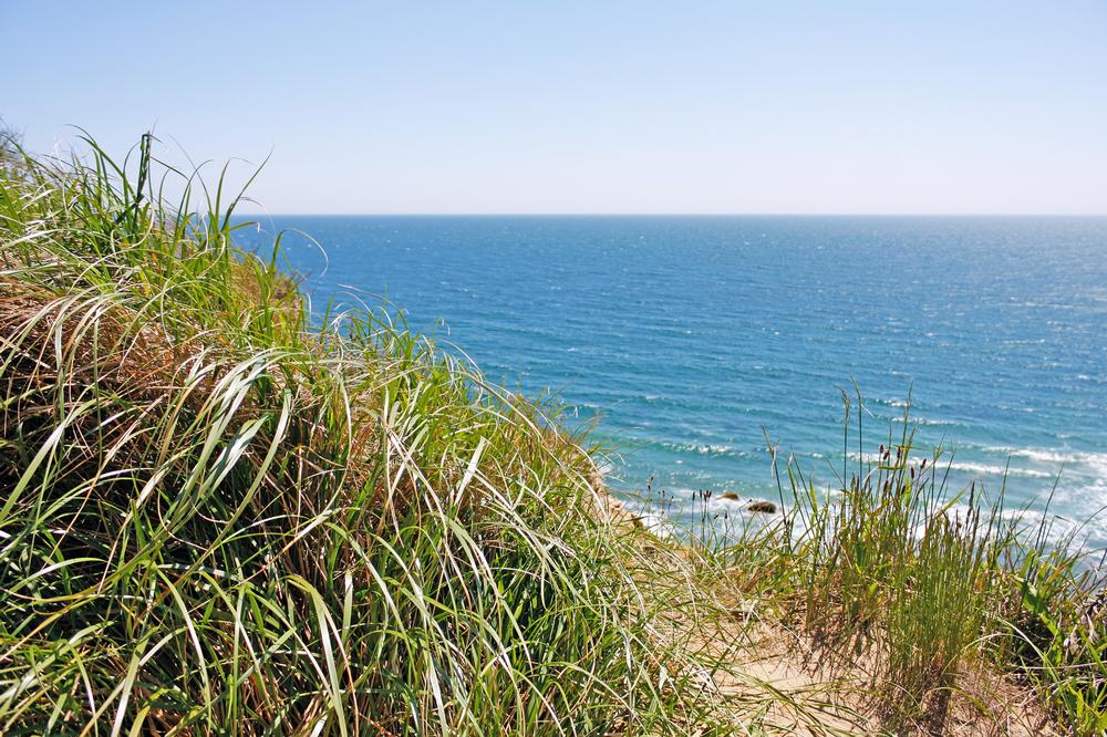 Mohegan Bluffs