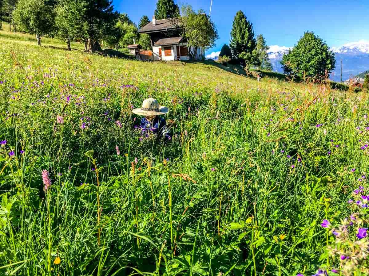 I took this photo of my son admiring wildflowers in August