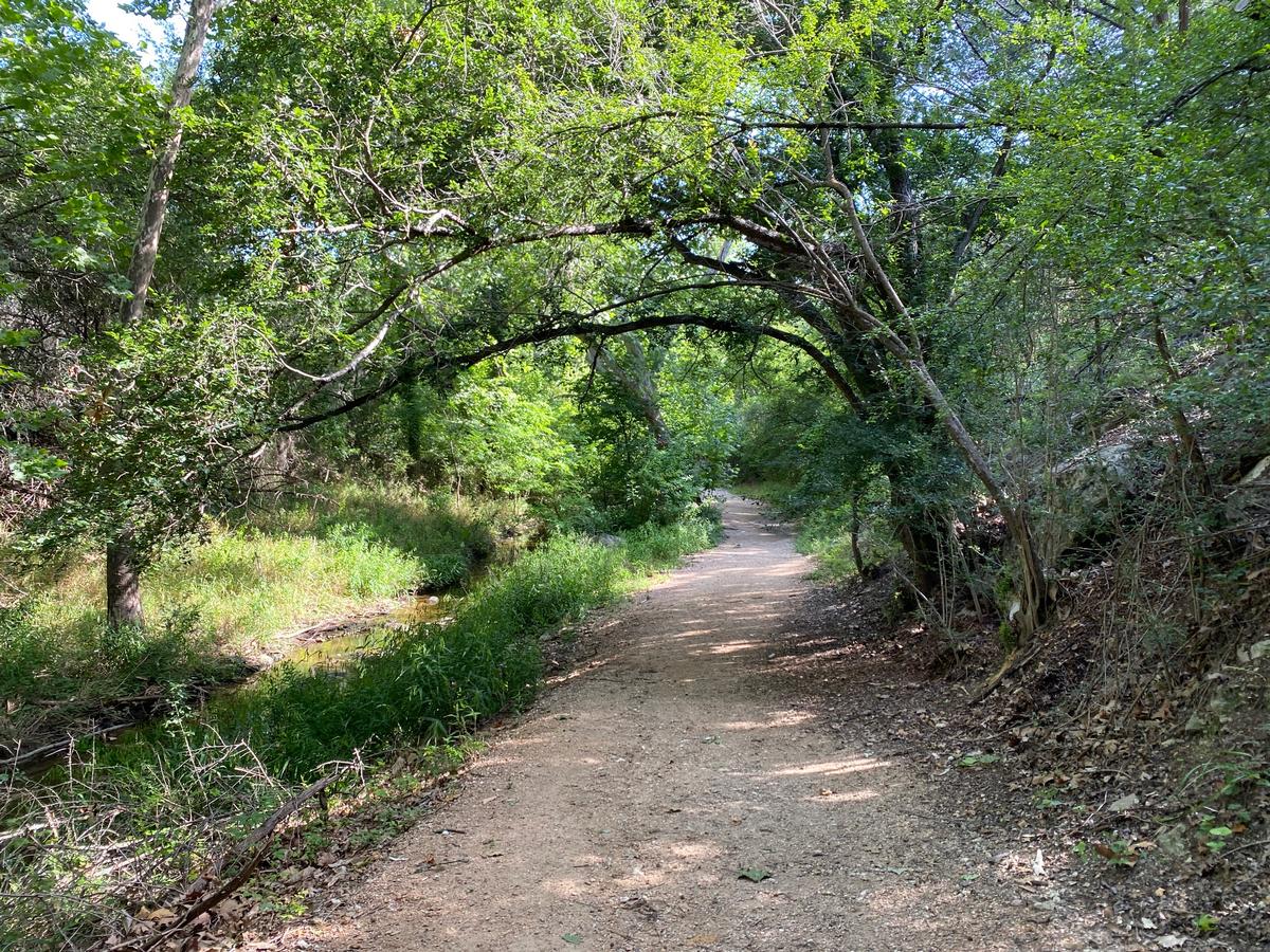 I took this photo while hiking in the Hill Country. It was a rainy summer so everything is green.