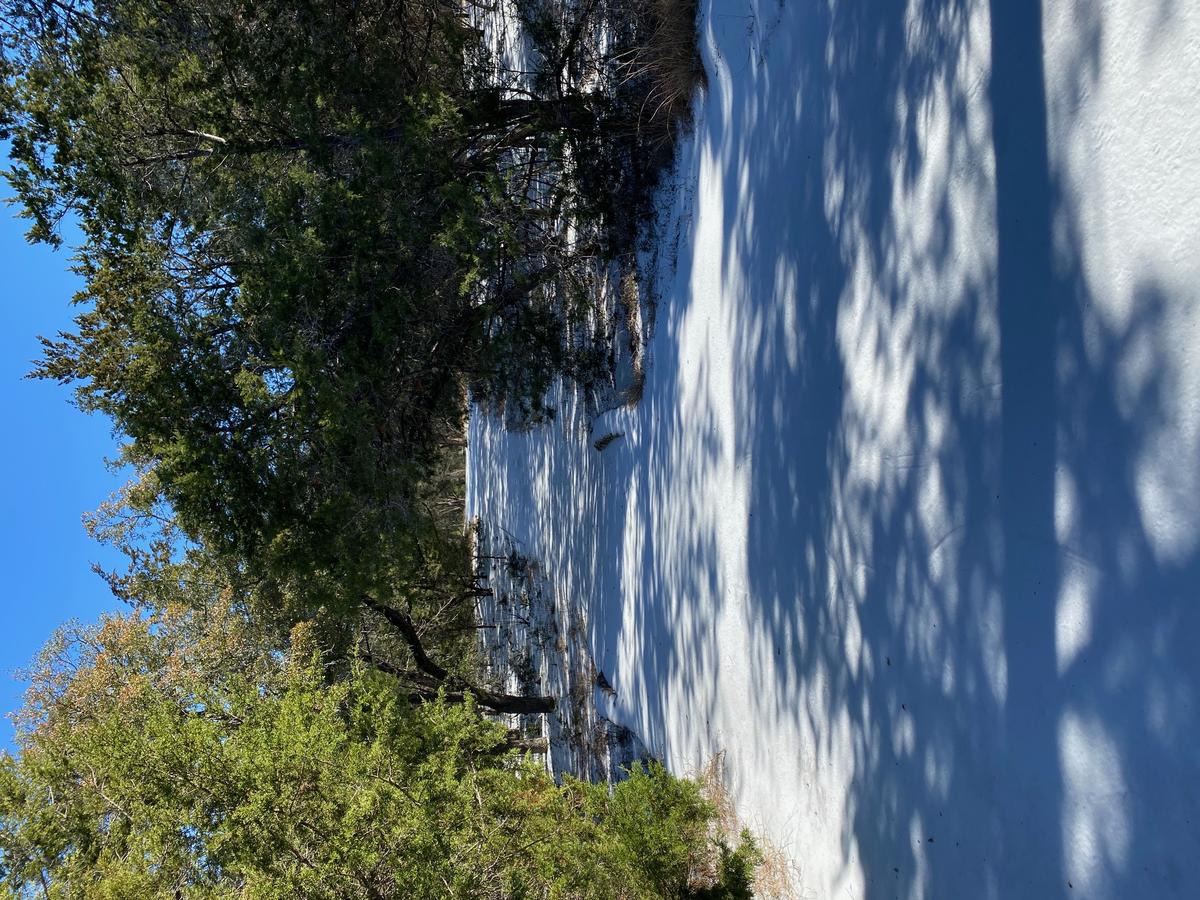 My photo of a trail in Springdale