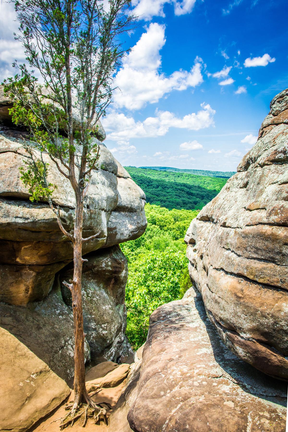 Shawnee National Forest from Illinois' Garden of the Gods