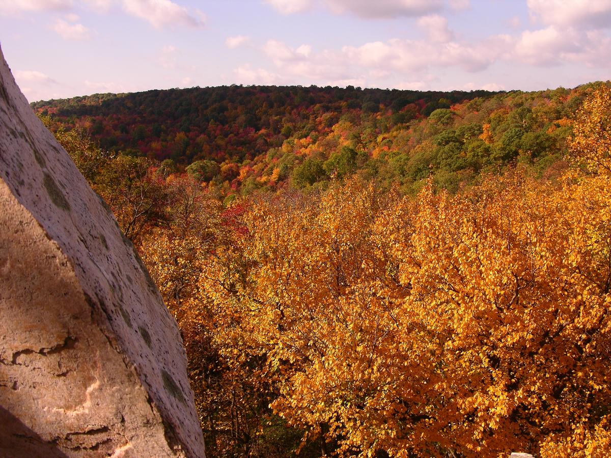 Fall foliage in Maryland