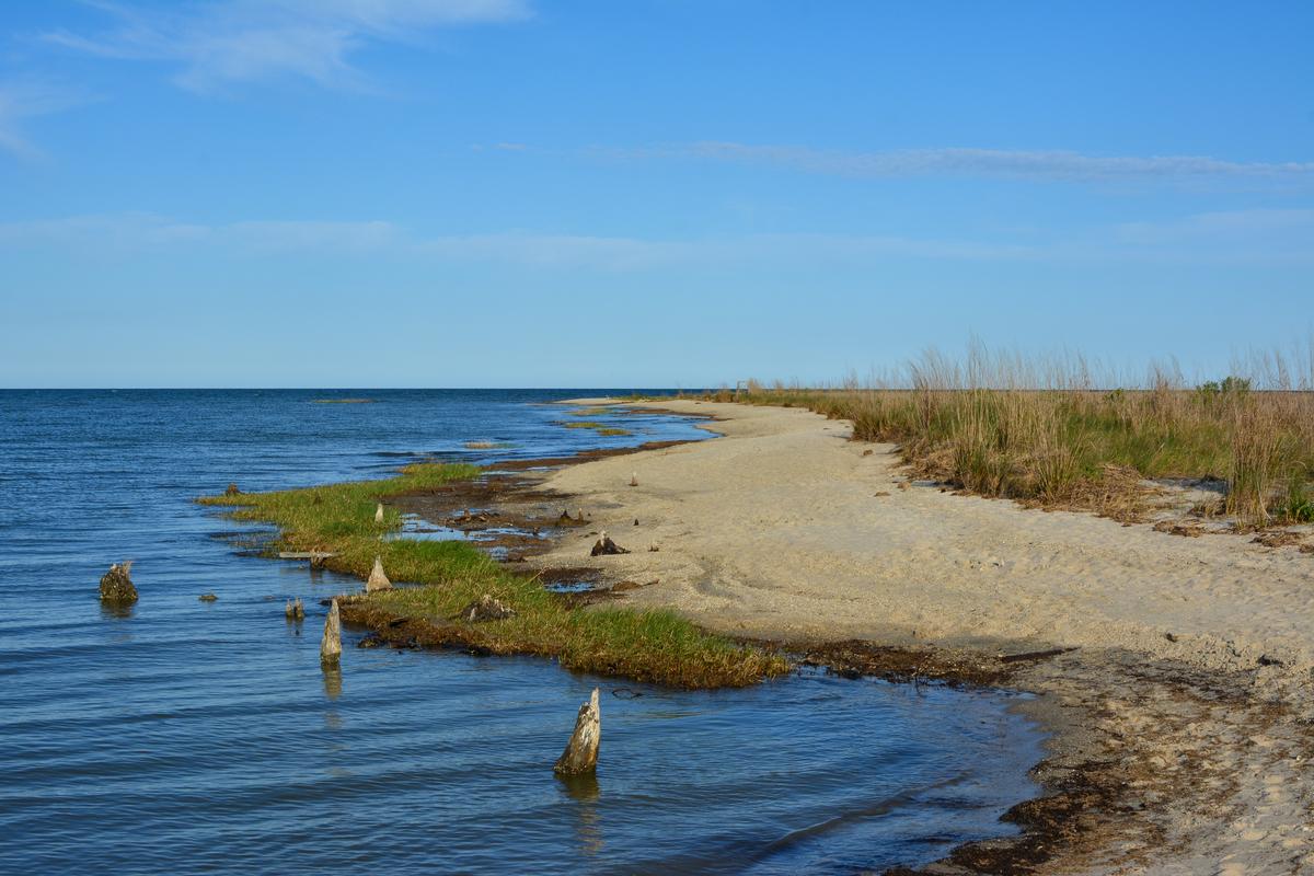 Hughlett Point Natural Area at the tip of the Northern Neck in Virginia