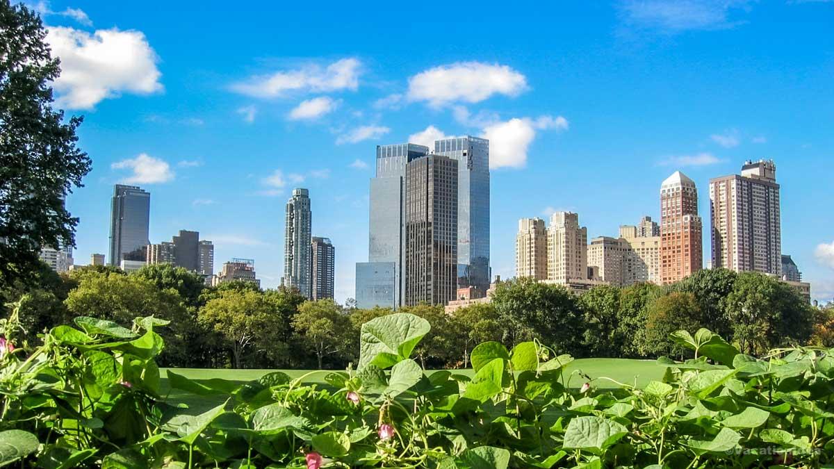 I took this photo of NYC skyline from Central Park