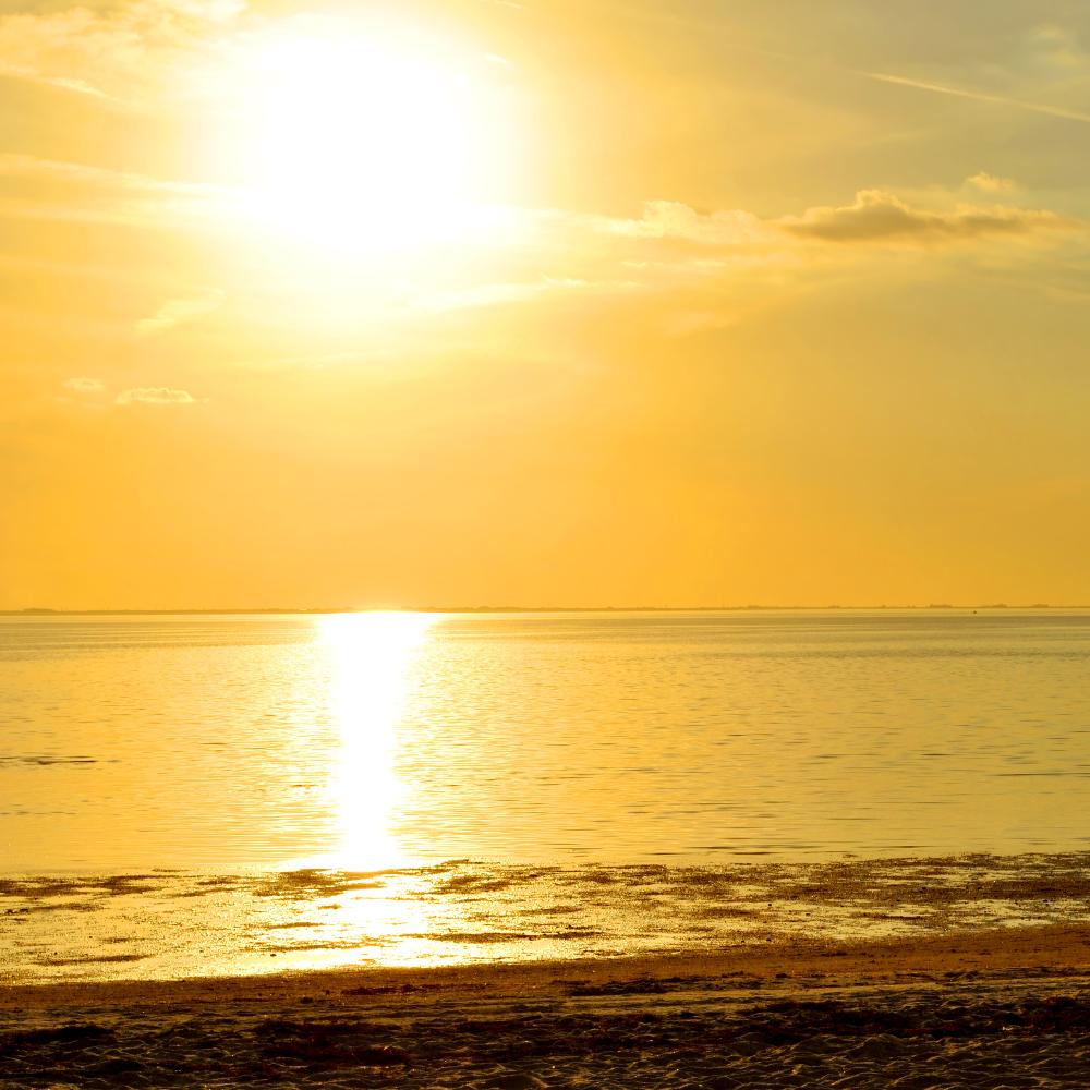 Enjoying the sunset on Ben T Davis Beach on the Courtney Campbell Causeway in Tampa