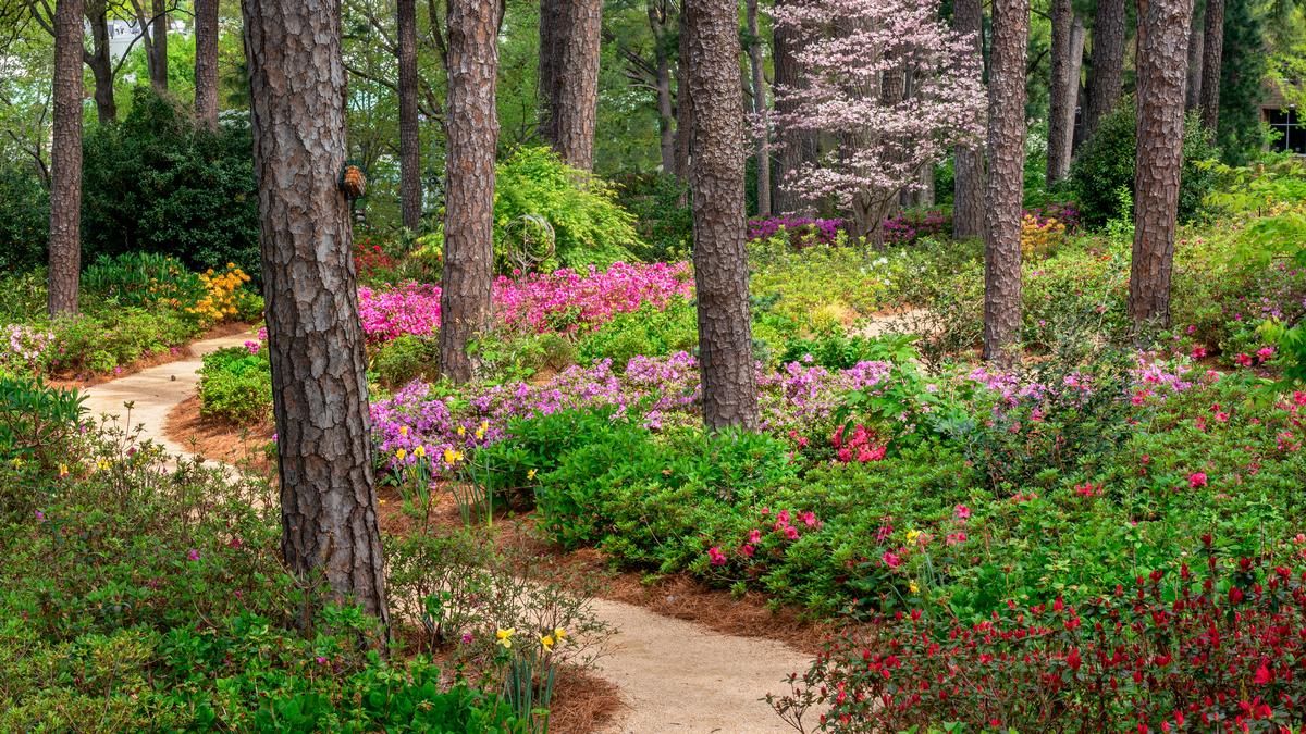 Flower Garden Pathway in Raleigh