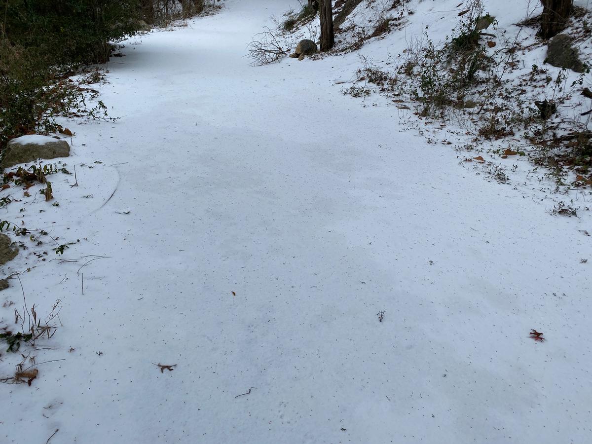 My photo of a snowy trail in winter