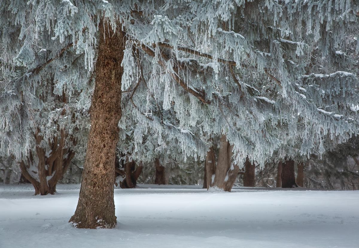 St. Marys Park in Rochester, MN