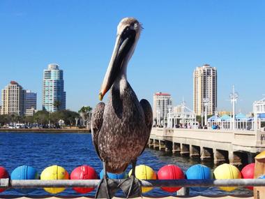 St. Pete Beach