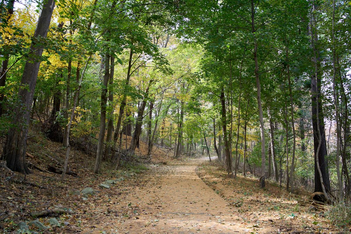 A path through a park in Rochester Minnesota