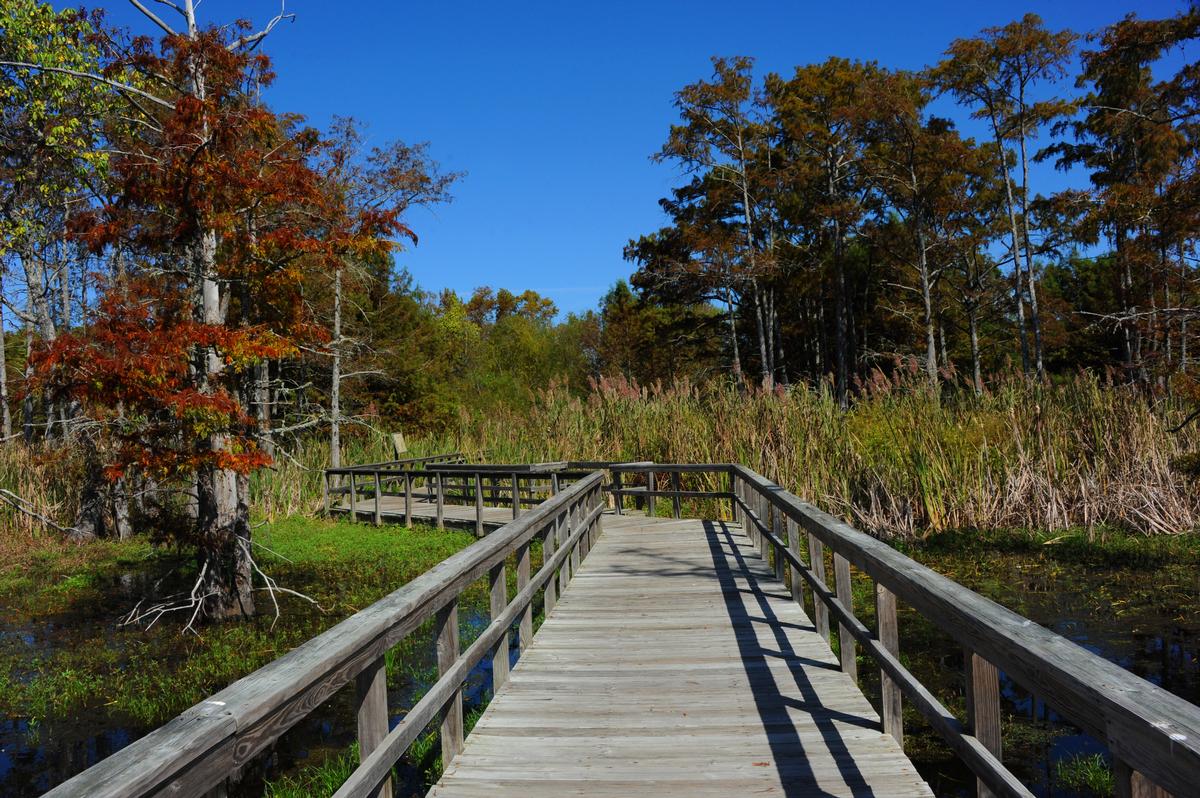 Black Bayou Lake National Wildlife Refuge Boardwalk