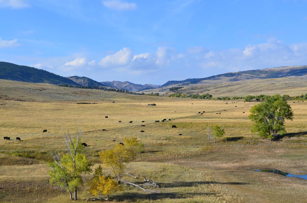 Go fly fishing and explore river trails on a peaceful retirement escape.