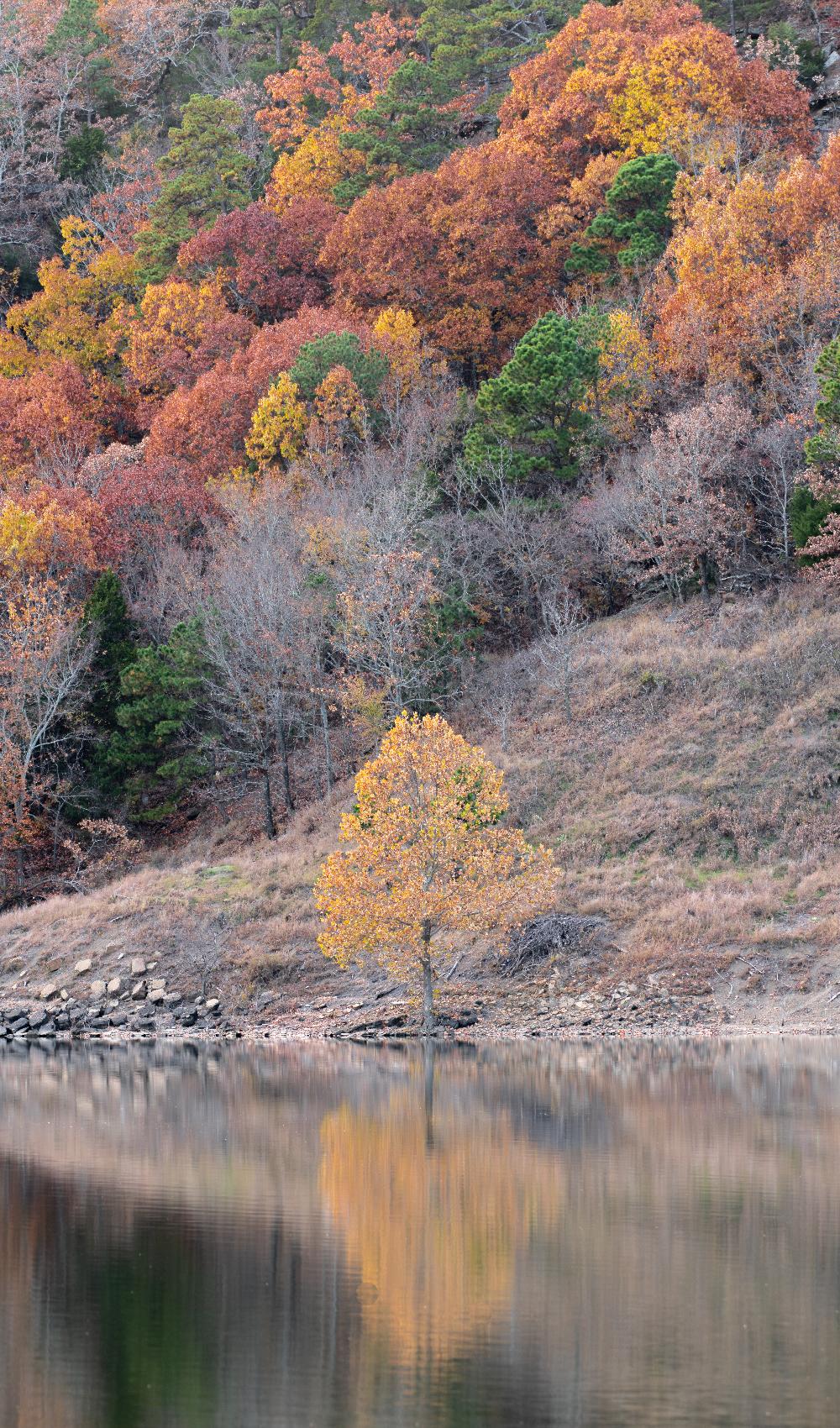 Robbers Cave State Park in late fall