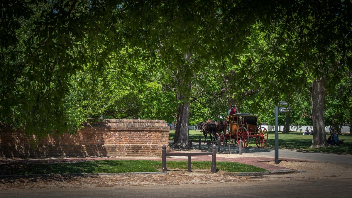 Horse drawn carriage in Williamsburg