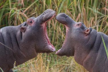 Kruger National Park