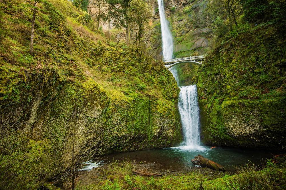 Multnomah Falls - Just 30 minutes from Portland