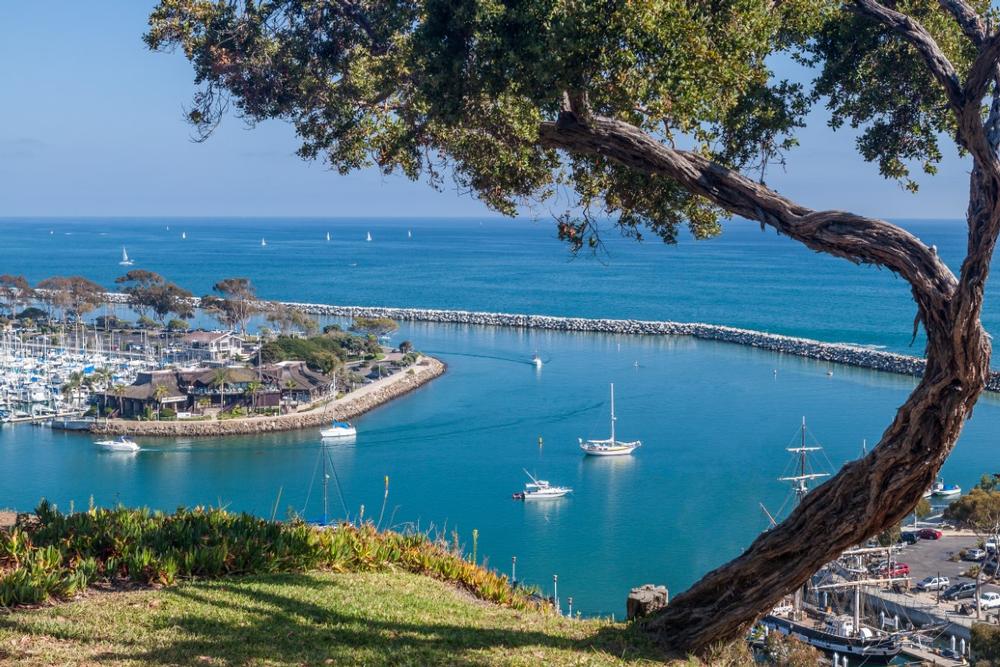 Enjoy lovely views of Dana Point Harbor