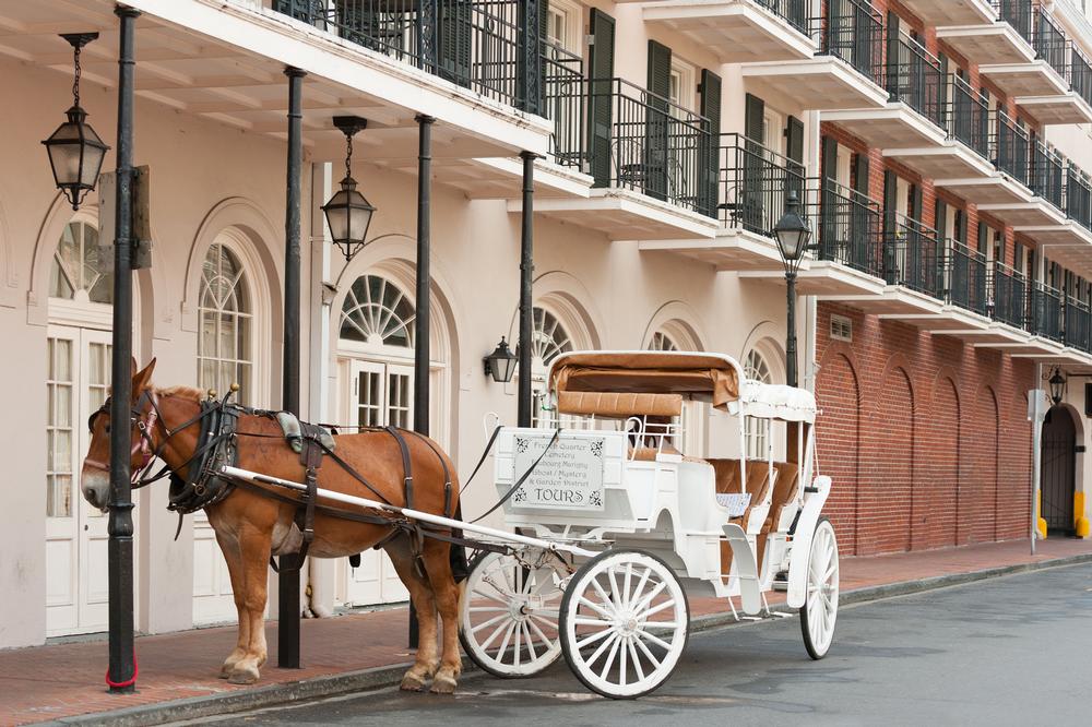 Explore vibrant neighborhoods and savor jazz on an exciting weekend trip.