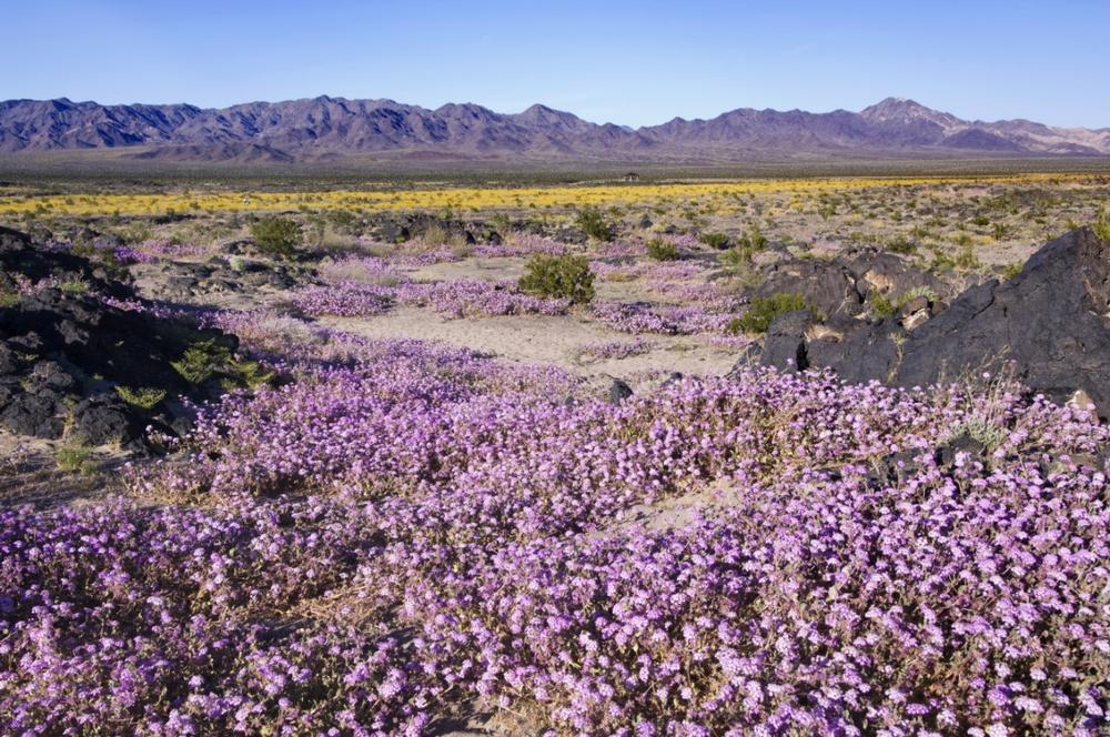 Hike to the crater rim and admire lava fields on a quick desert trip.