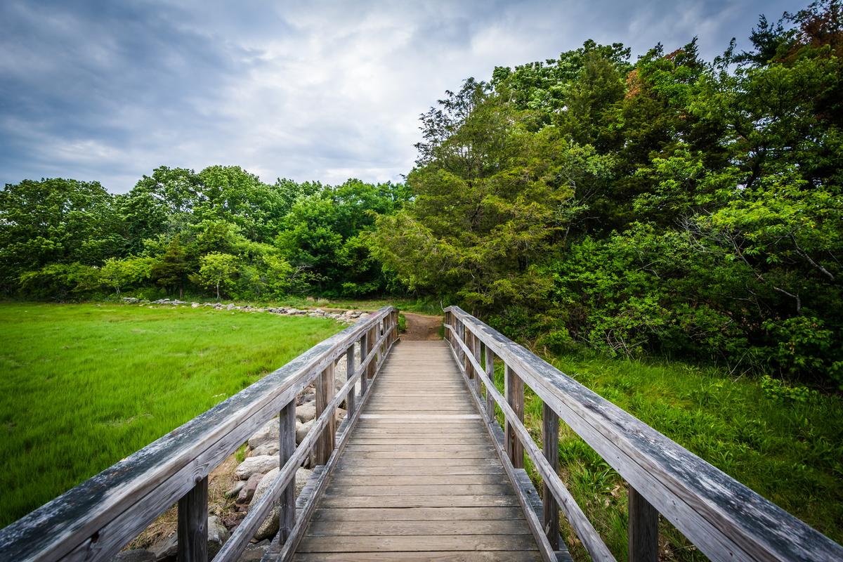 Boardwalk trail at Odiorne Point State Park