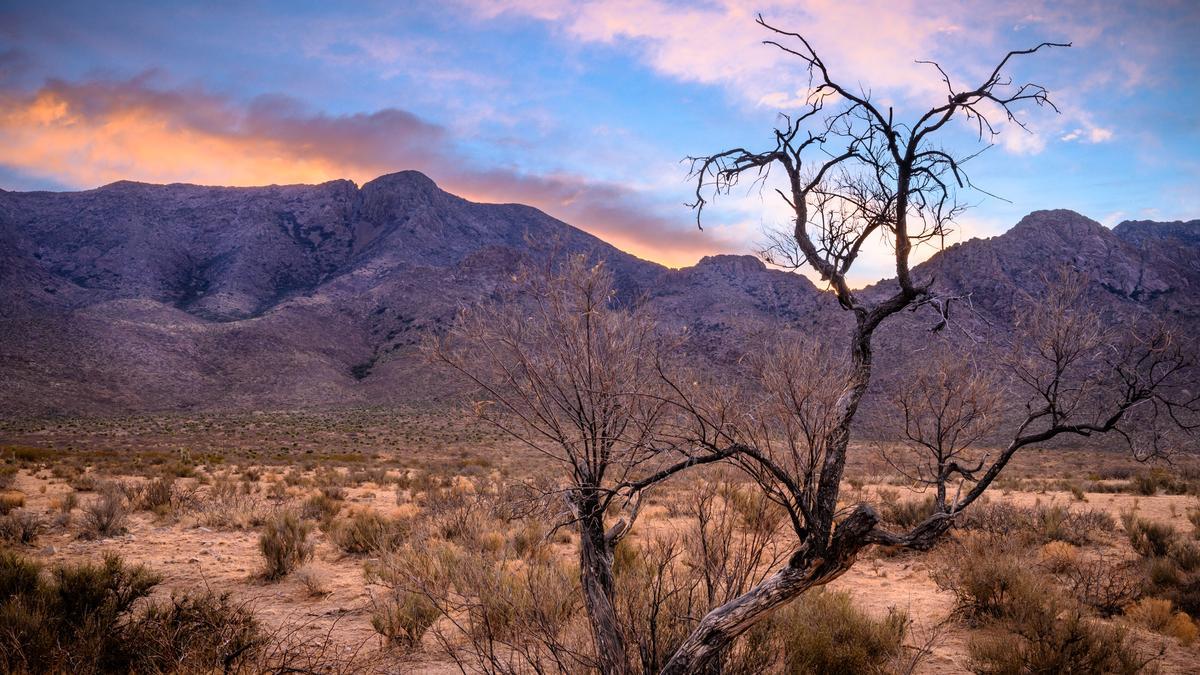 Walk desert trails and savor local flavors on an affordable spring trip.